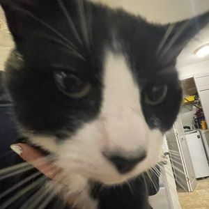 Meet your Posher, Layla